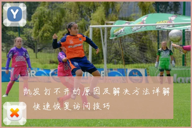 凯发打不开的原因及解决方法详解，快速恢复访问技巧